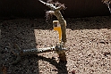 Orto Botanico_118